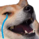 kekcry