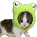catfrog Discord emoji