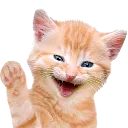 HeyCat HeyCat