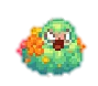 Bald_Angery