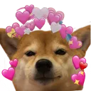 DogeHeh