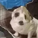 MagikBoom MagikBoom