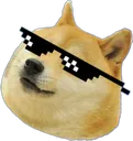 doge