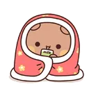 BearBlanket