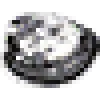 clam