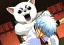 timorz3