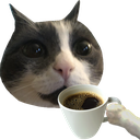 catsip Discord emoji