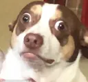 mrbubz