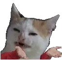UG_yedekhlo UG_yedekhlo