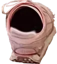 OmegaShoe