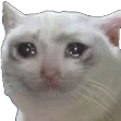 catcry