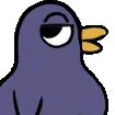birbKnows
