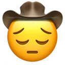 ff_sadcowboy