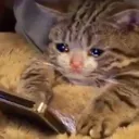 SadPussy