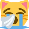 Cryingcat cryingcat Discord Emoji