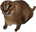 SCfloppapixel SCfloppapixel