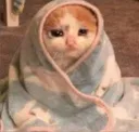 SedCat