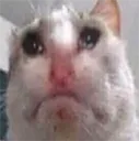 fuckingsadasfuck
