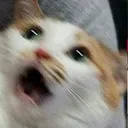 aki_scared