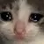 crying_cat crying_cat