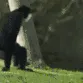 monkehug