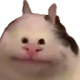 17 Discord emoji