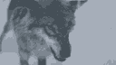 40 Discord emoji