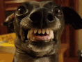 22 Discord emoji