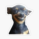 R97 Discord emoji