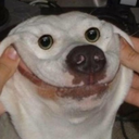 Bote Discord emoji
