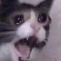 nooo