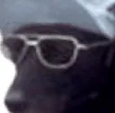confirmozoom