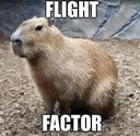 flightfactor