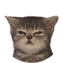 uhh Discord emoji
