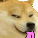 dogesmuglick