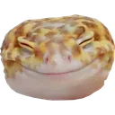 Liz Happy Discord Emoji