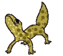 HappyGecko Discord Emoji