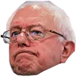 BernieDepressed