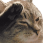 salute Discord emoji