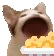 popcorncat popcorncat