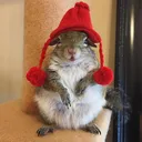 wintertime
