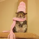 wintertime2