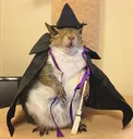 witchcraft2