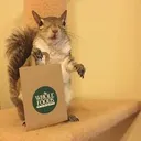 busy