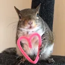 i_luv
