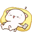KittySleep