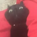 jynxybbyyyy