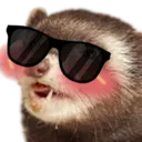 Sunglass_Katt
