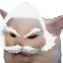 jigcat Discord Emoji