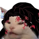 yoriicat Discord Emoji